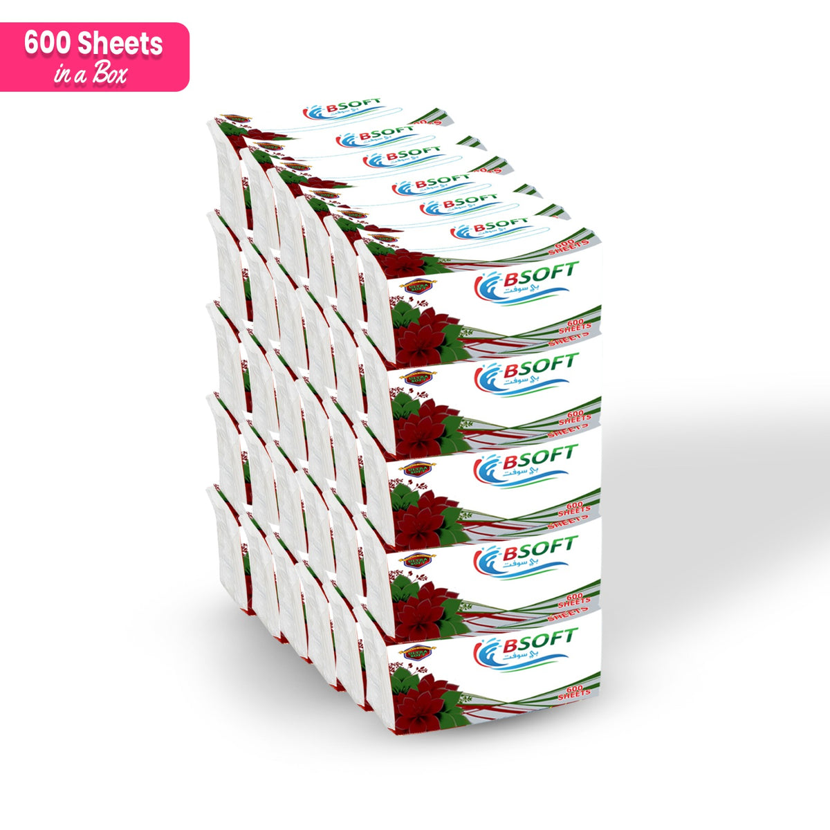 BSoft Facial Tissue 600 Sheets 2-Ply (Pack of 30)