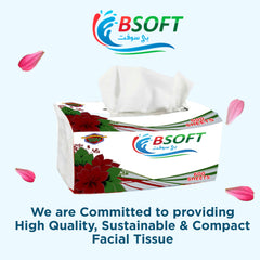 BSoft Facial Tissue 600 Sheets 2-Ply (Pack of 30)