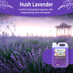 BSOFT Handwash Lavender Liquid 5 Liter